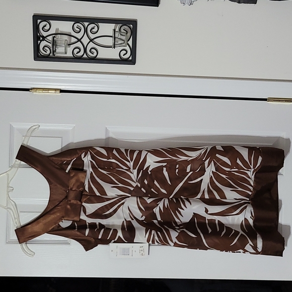 Signature by Robbie Bee NWT sz.8P brown/white fully lined - Picture 3 of 4